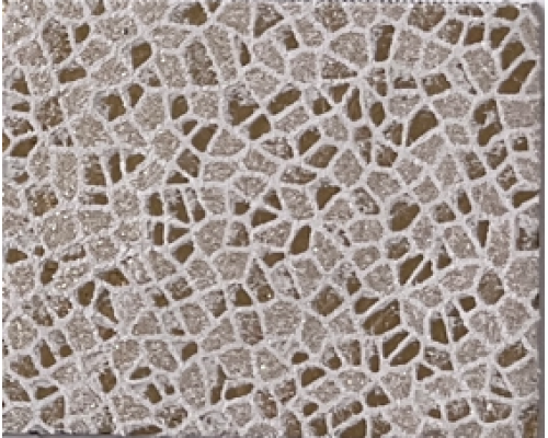 ASTEROIDS - PLASMON